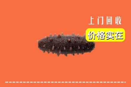 平陆县回收海参
