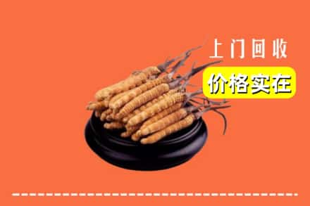 平陆县回收冬虫夏草