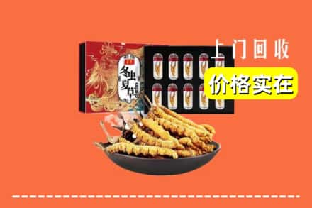 平陆县回收虫草